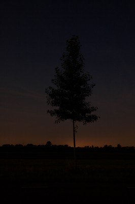 Lopikerwaard_MvdW_024