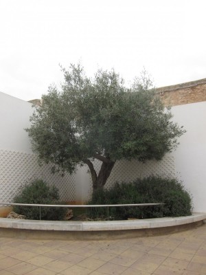 Ibiza